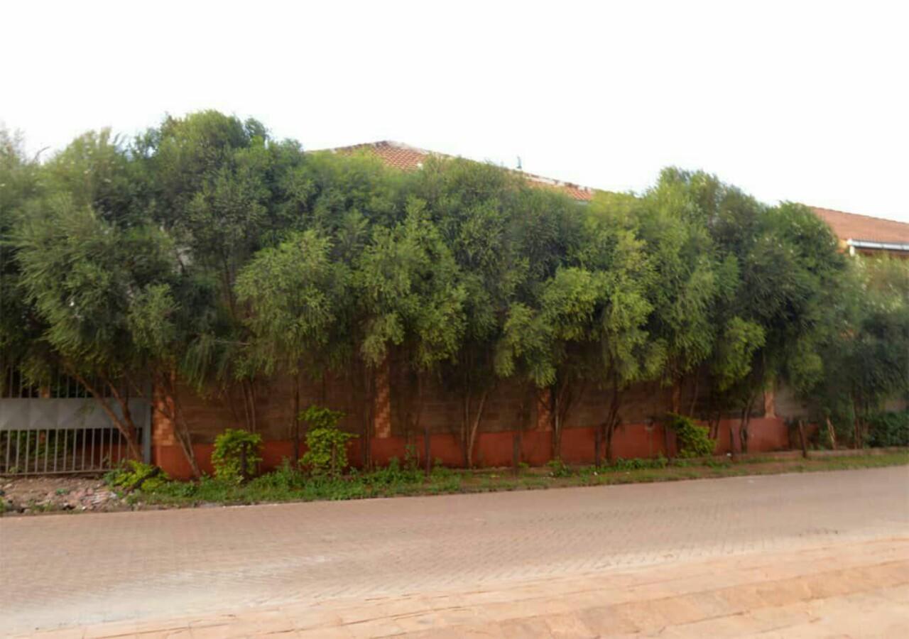 Nemadek Royal Park Apartment Nairobi Exterior photo